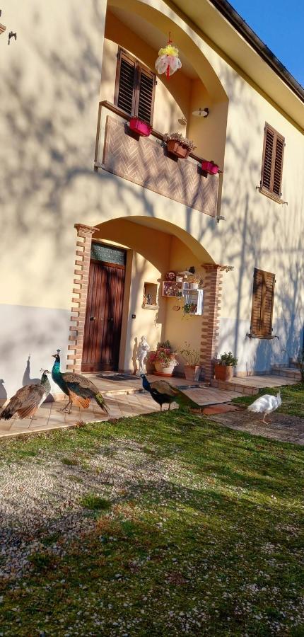 Hotel Il Castellare Gualdo Tadino Exterior foto